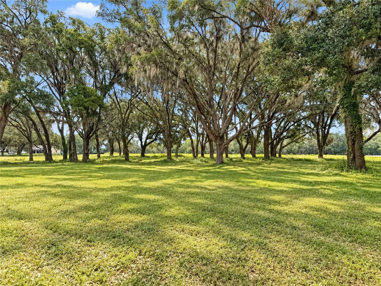 TBD SW 104 STREET ROAD, Ocala, FL 34476 TBD SW 104 STREET ROAD, Ocala, FL 34476