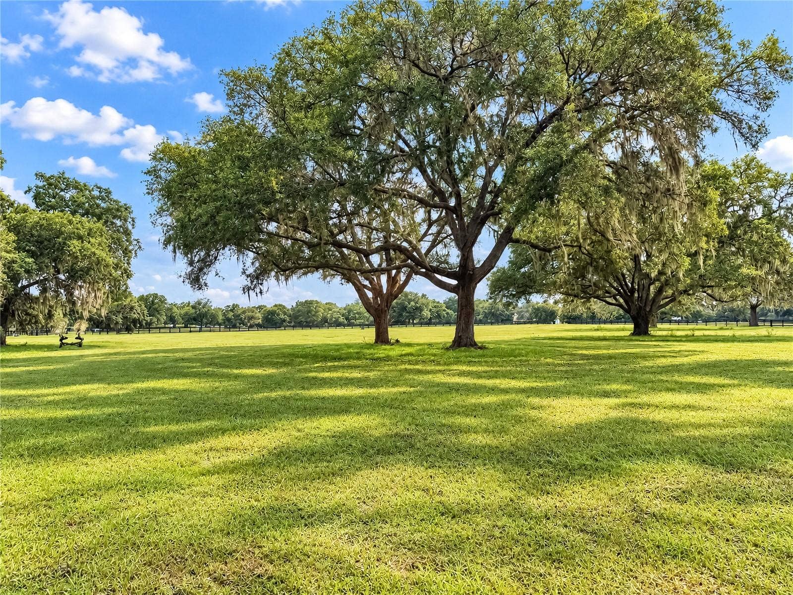 TBD SW 104 STREET ROAD, Ocala, FL 34476 TBD SW 104 STREET ROAD, Ocala, FL 34476