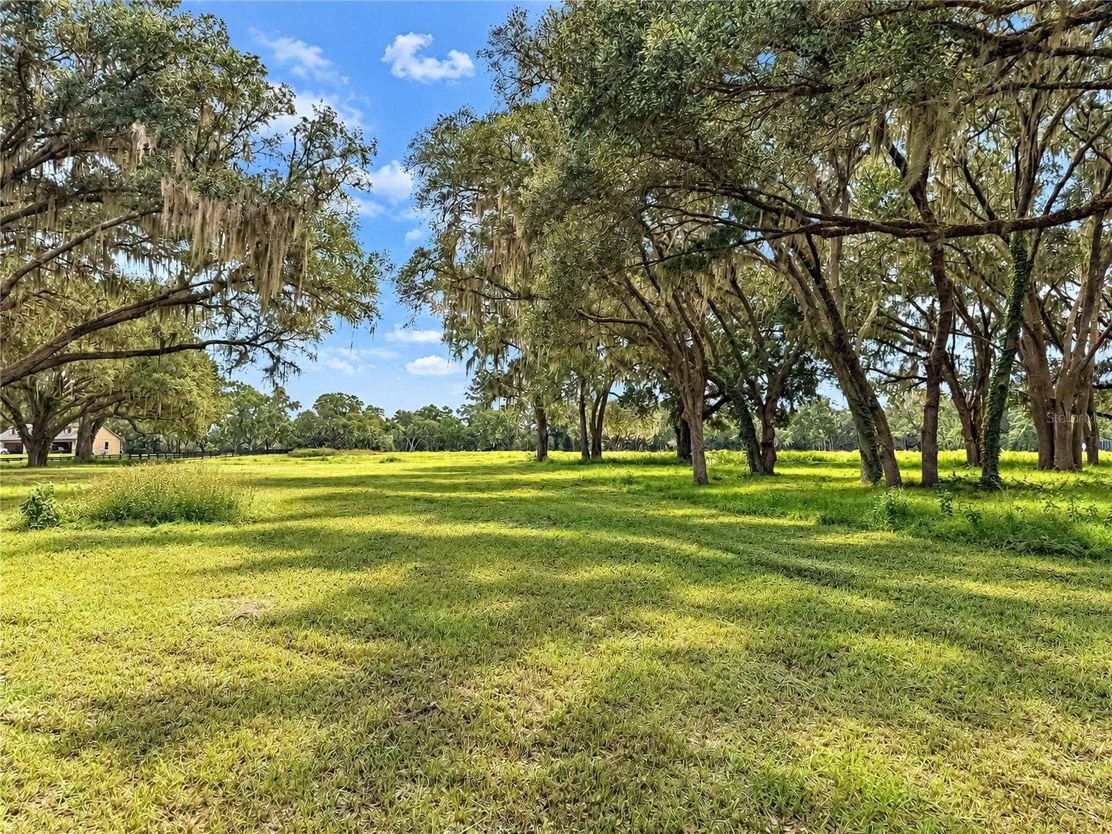 TBD SW 104 STREET ROAD, Ocala, FL 34476 TBD SW 104 STREET ROAD, Ocala, FL 34476