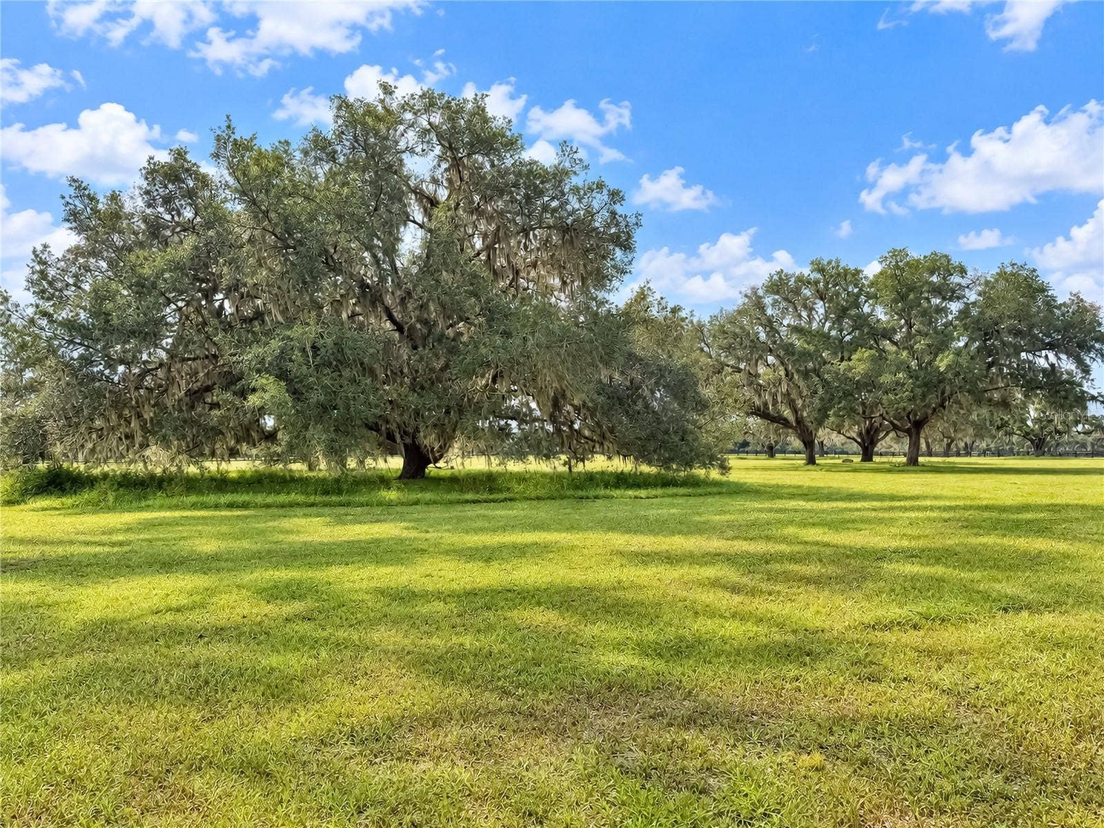 TBD SW 104 STREET ROAD, Ocala, FL 34476 TBD SW 104 STREET ROAD, Ocala, FL 34476