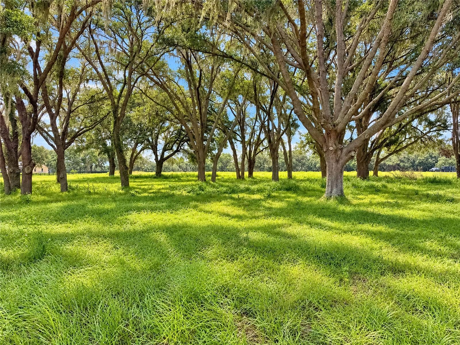 TBD SW 104 STREET ROAD, Ocala, FL 34476 TBD SW 104 STREET ROAD, Ocala, FL 34476