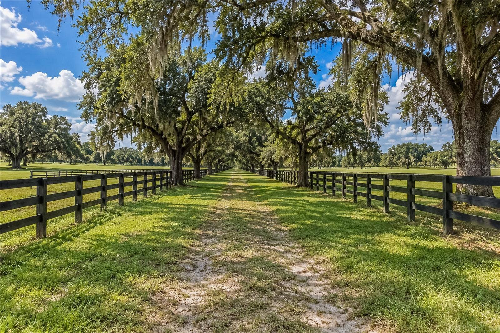 TBD SW 104 STREET ROAD, Ocala, FL 34476 TBD SW 104 STREET ROAD, Ocala, FL 34476