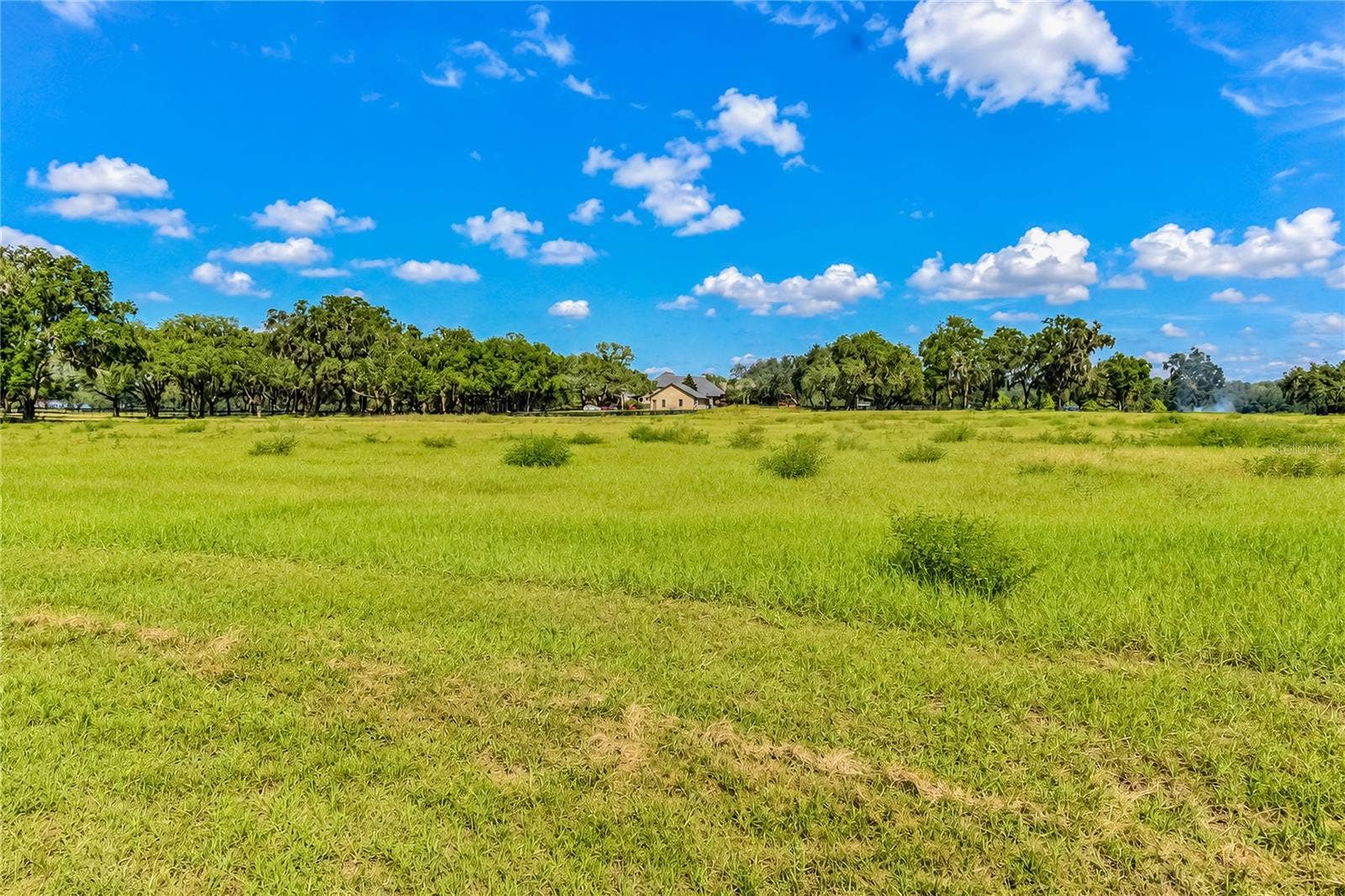 TBD SW 104 STREET ROAD, Ocala, FL 34476 TBD SW 104 STREET ROAD, Ocala, FL 34476