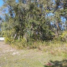 Property photo for TBD SE 61ST PLACE, Ocklawaha, FL