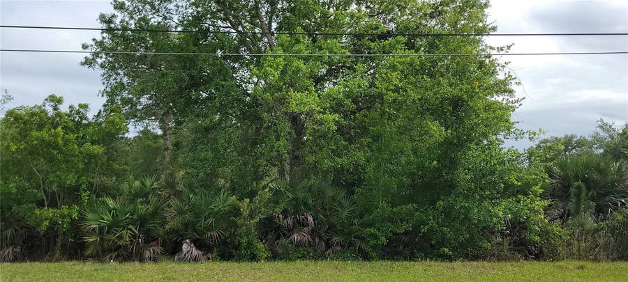 Property photo for RALSTON STREET, Orlando, FL