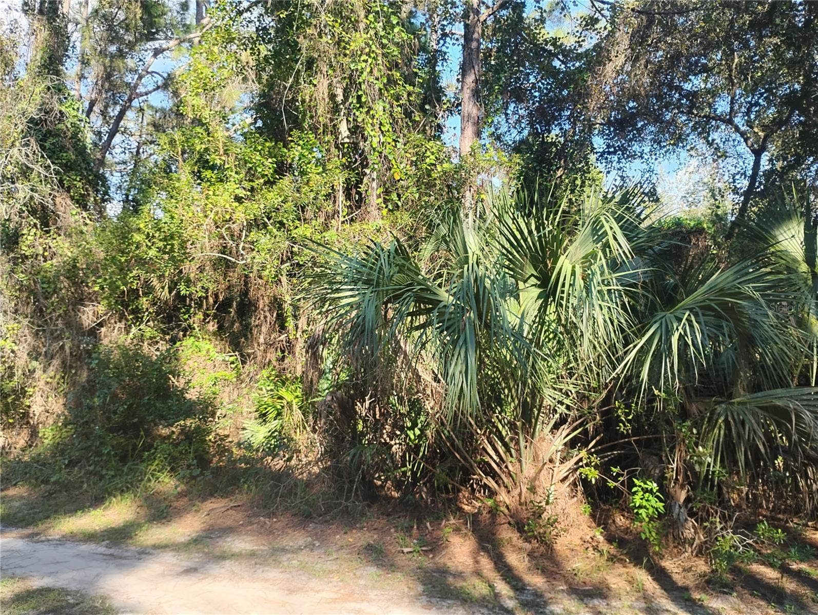 JESSIE AVENUE, Deland, FL 32720 JESSIE AVENUE, Deland, FL 32720