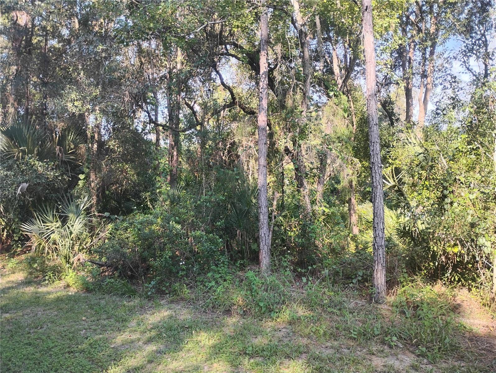 JESSIE AVENUE, Deland, FL 32720 JESSIE AVENUE, Deland, FL 32720