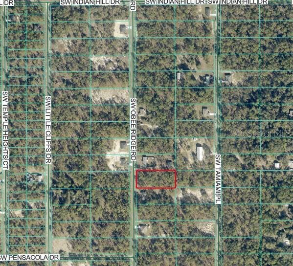 TBD SW OBEE RIDGE ROAD, Dunnellon, FL 34431 TBD SW OBEE RIDGE ROAD, Dunnellon, FL 34431