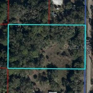 LORIE STREET, Inglis, FL 34449 LORIE STREET, Inglis, FL 34449
