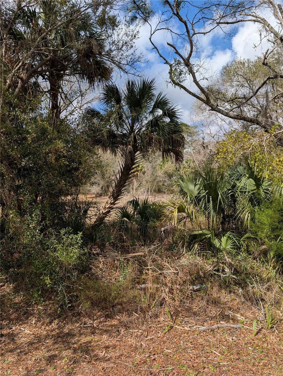 Property photo for LORIE STREET, Inglis, FL
