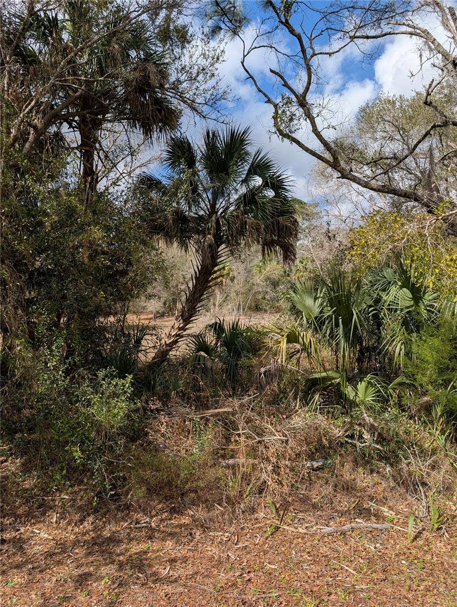 LORIE STREET, Inglis, FL 34449 LORIE STREET, Inglis, FL 34449