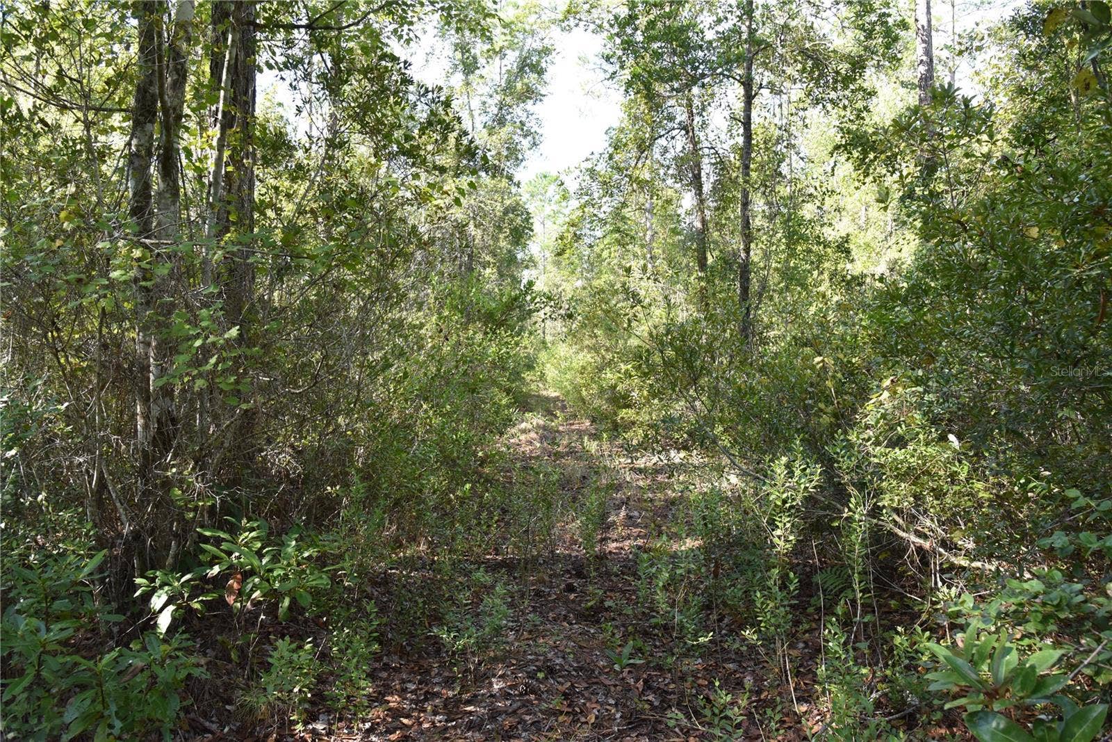 OFF NE 212TH ST., Fort Mc Coy, FL 32134