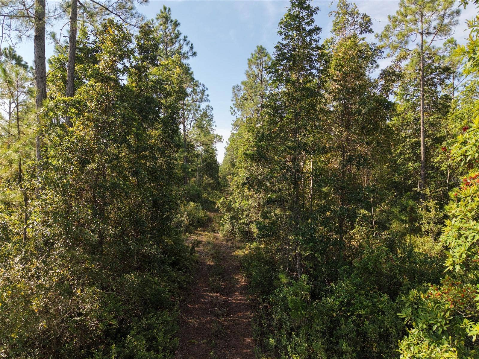 OFF NE 212TH ST., Fort Mc Coy, FL 32134
