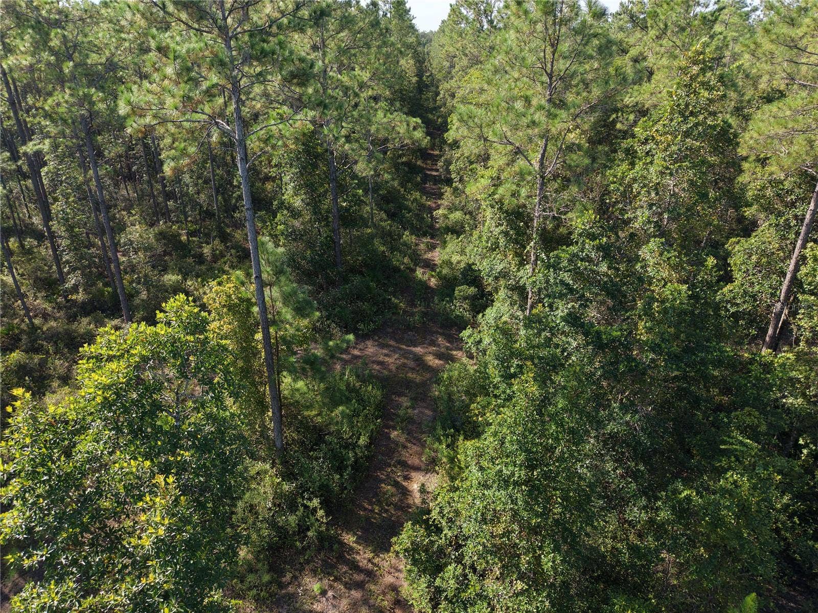 OFF NE 212TH ST., Fort Mc Coy, FL 32134