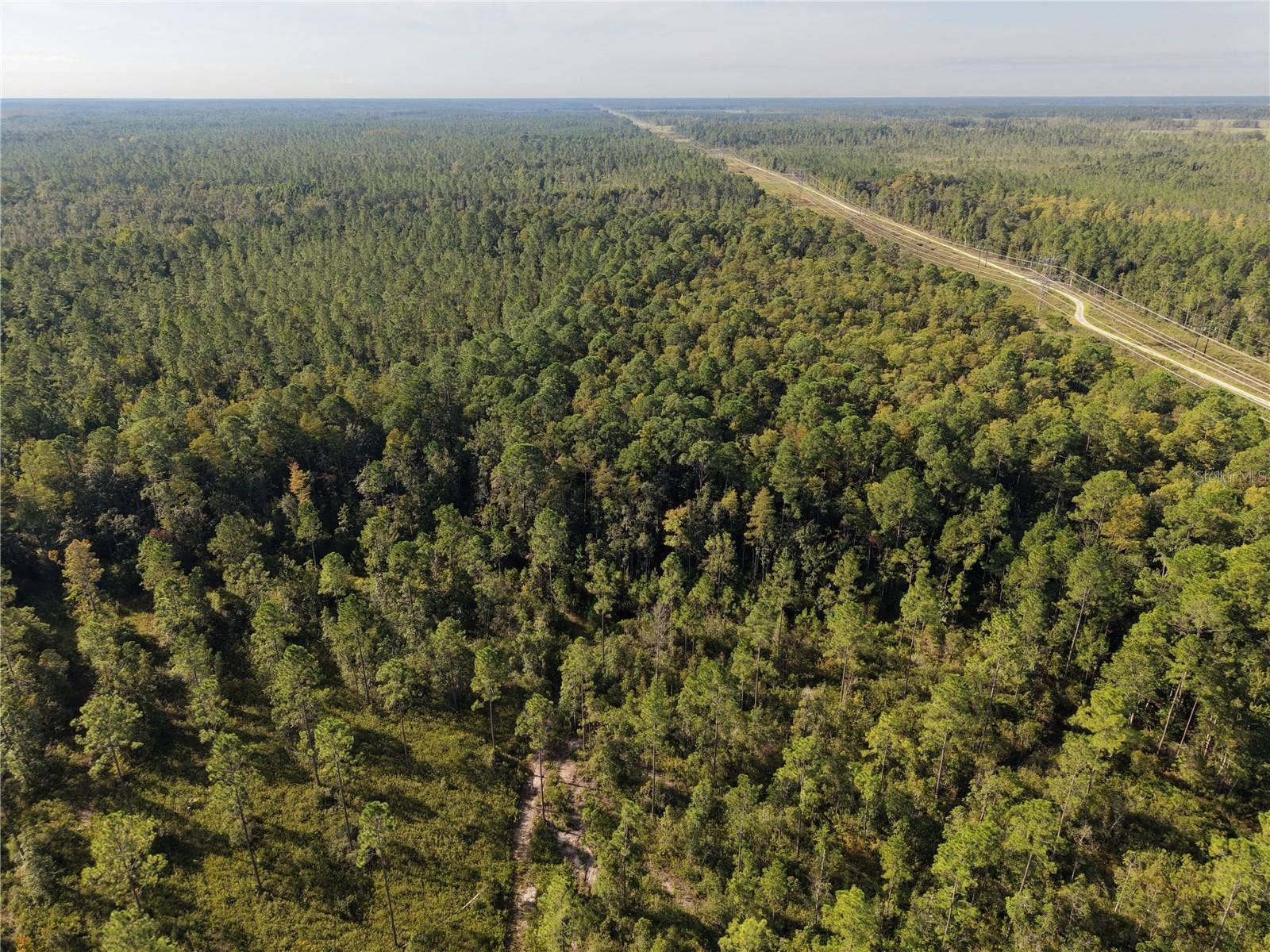 OFF NE 212TH ST., Fort Mc Coy, FL 32134