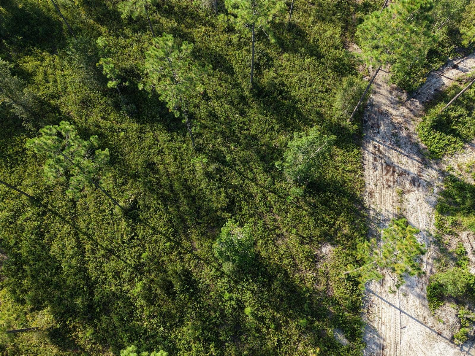 OFF NE 212TH ST., Fort Mc Coy, FL 32134