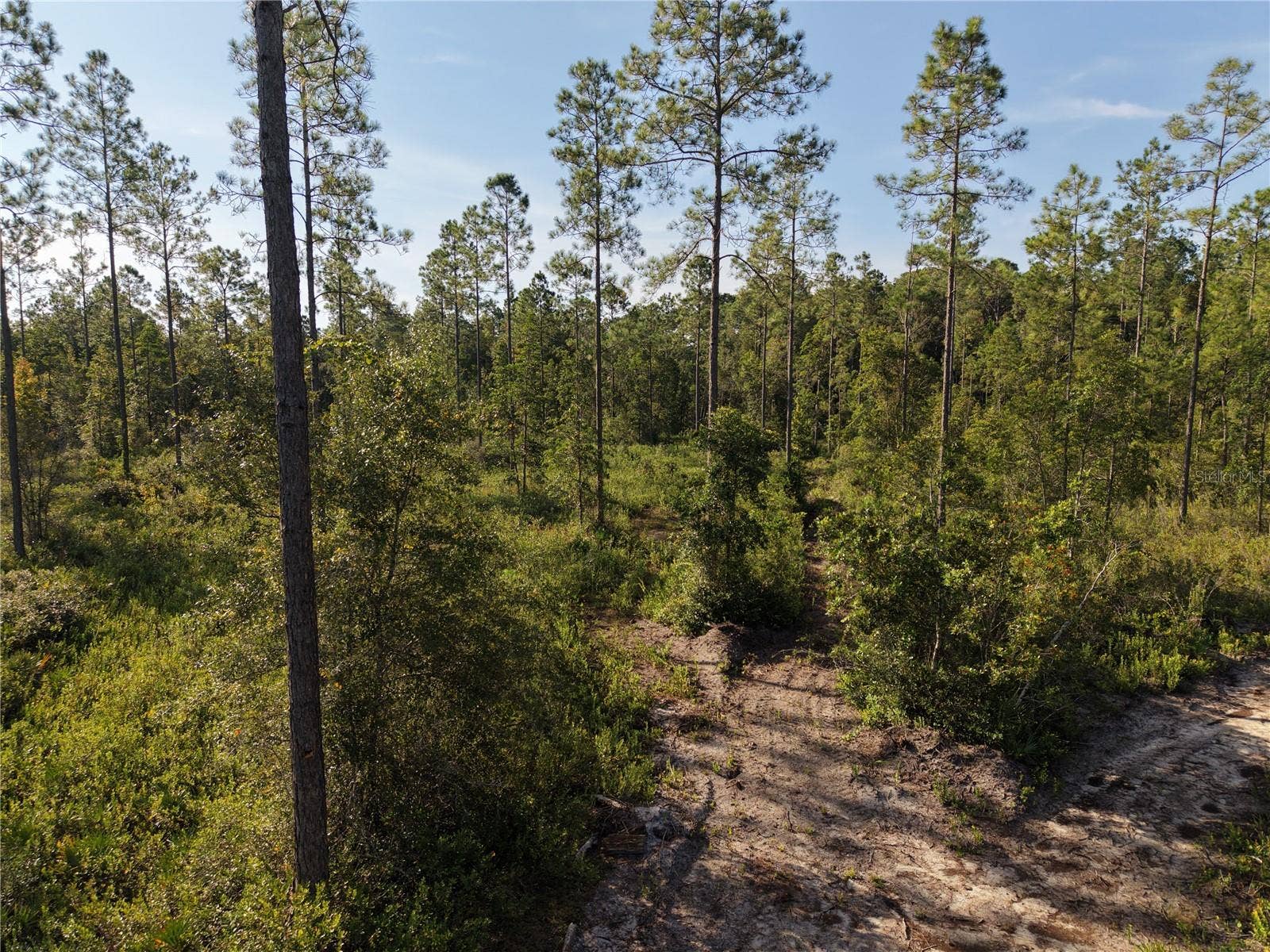 OFF NE 212TH ST., Fort Mc Coy, FL 32134