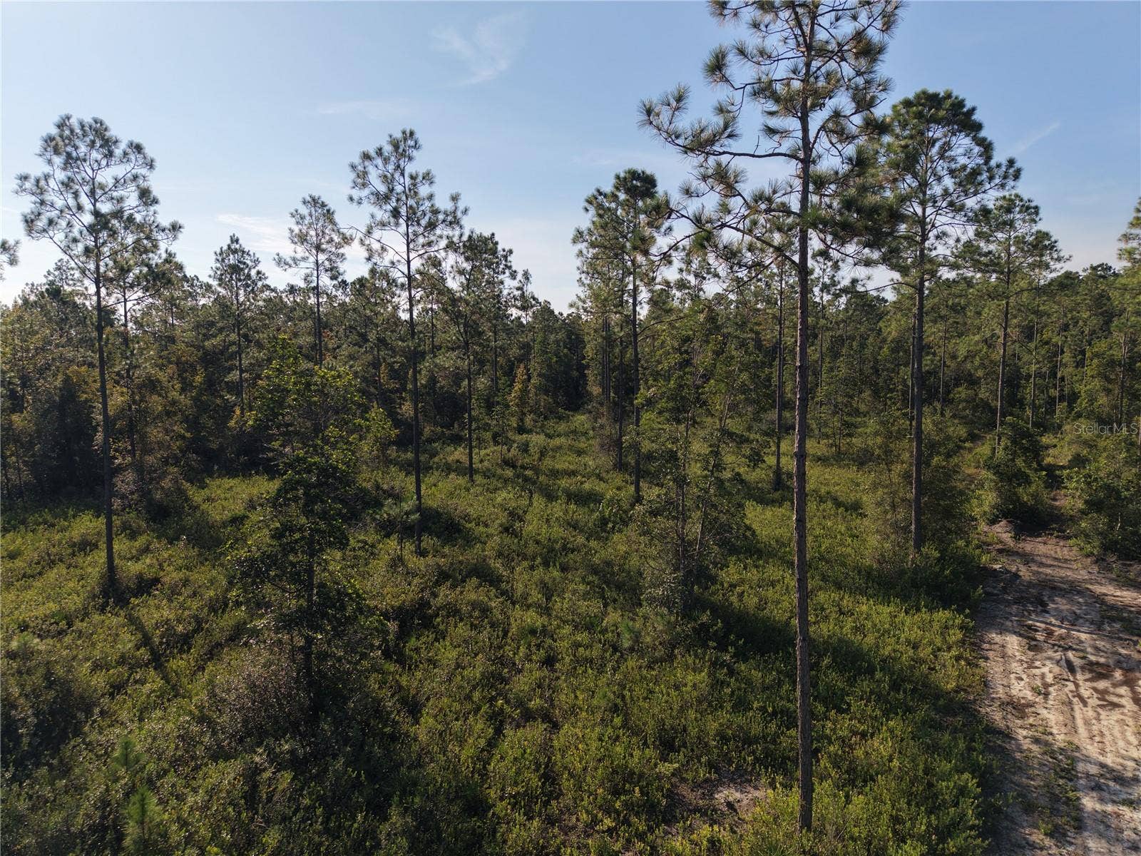 OFF NE 212TH ST., Fort Mc Coy, FL 32134