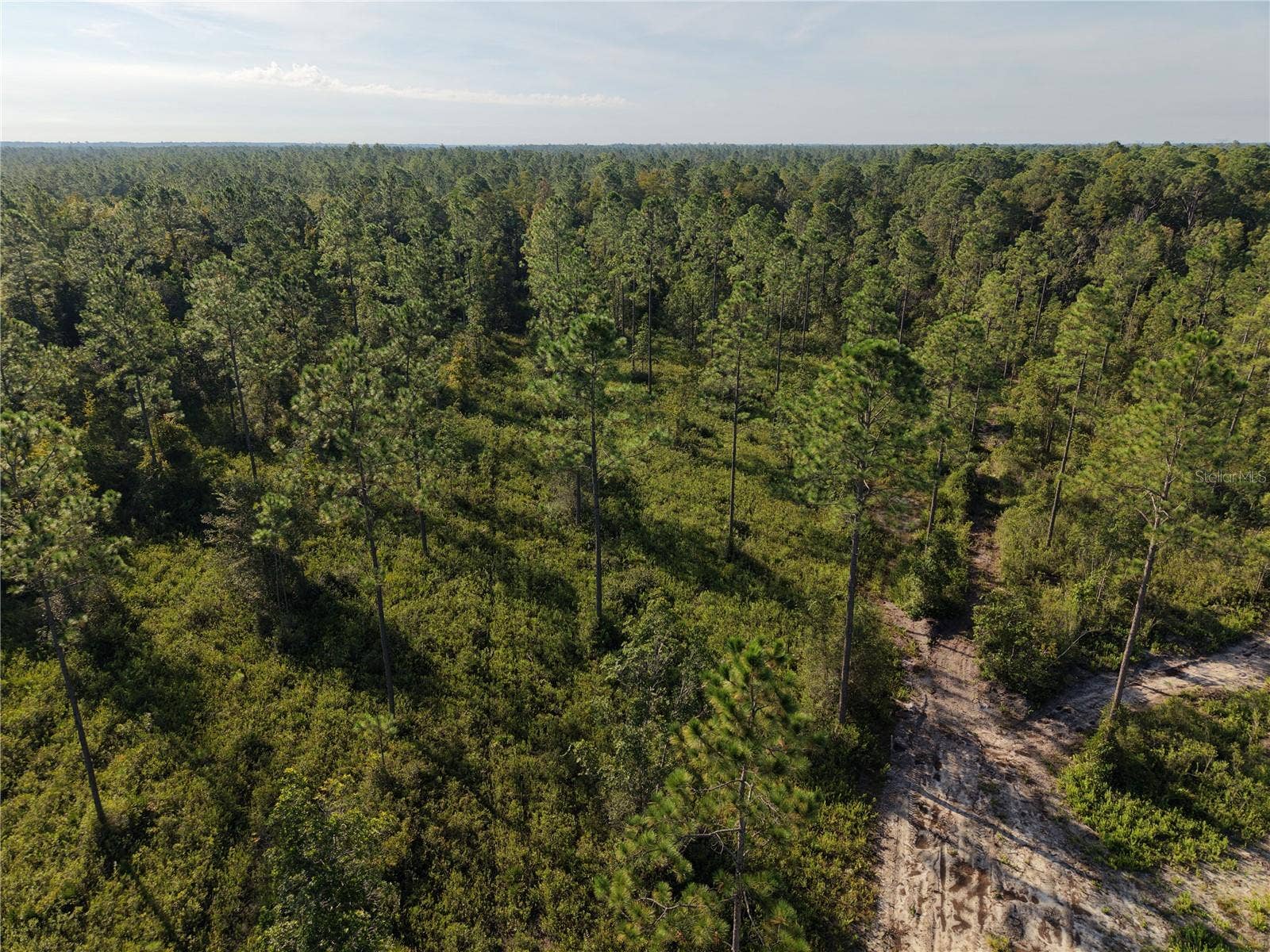 OFF NE 212TH ST., Fort Mc Coy, FL 32134
