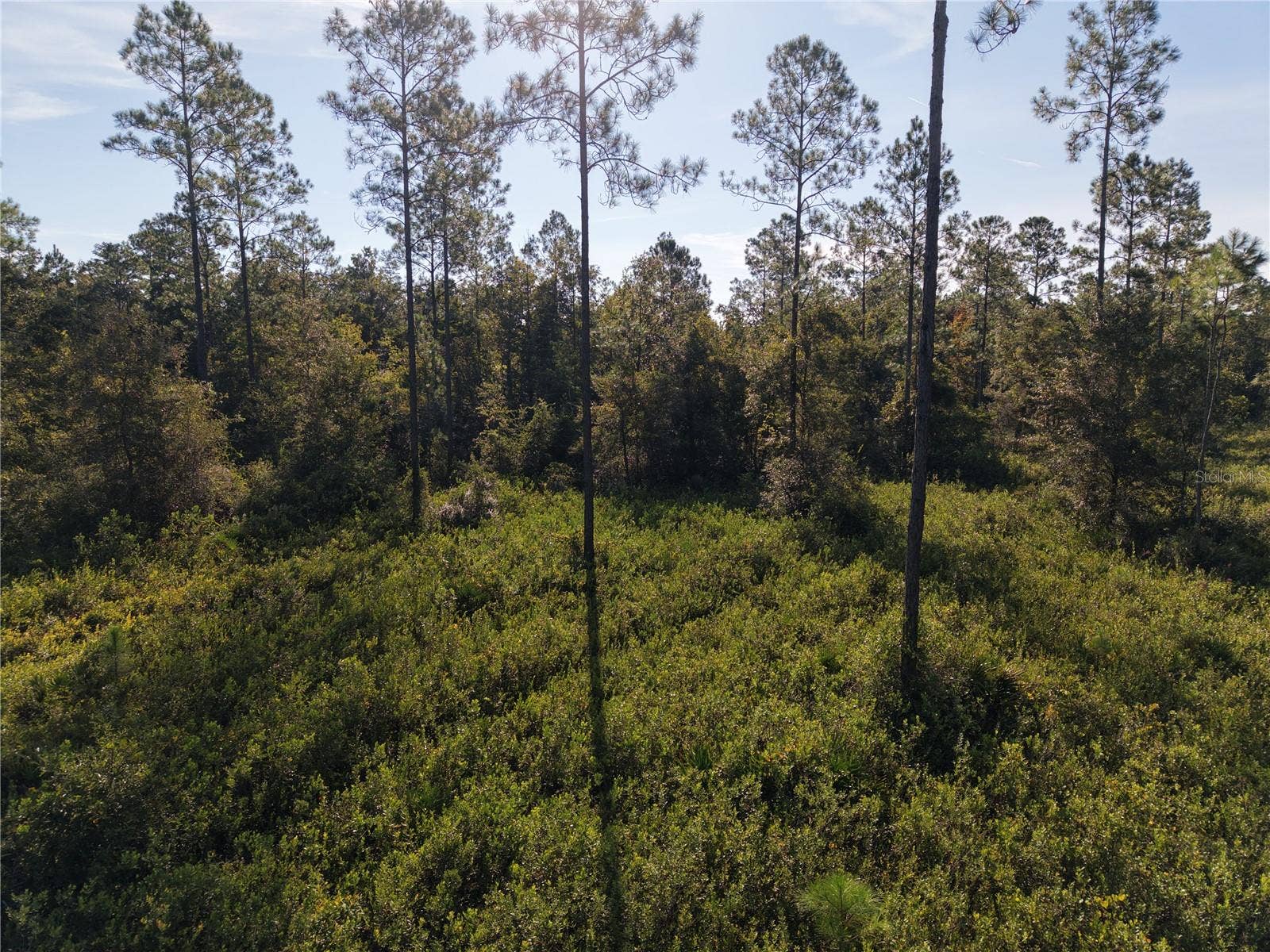 OFF NE 212TH ST., Fort Mc Coy, FL 32134