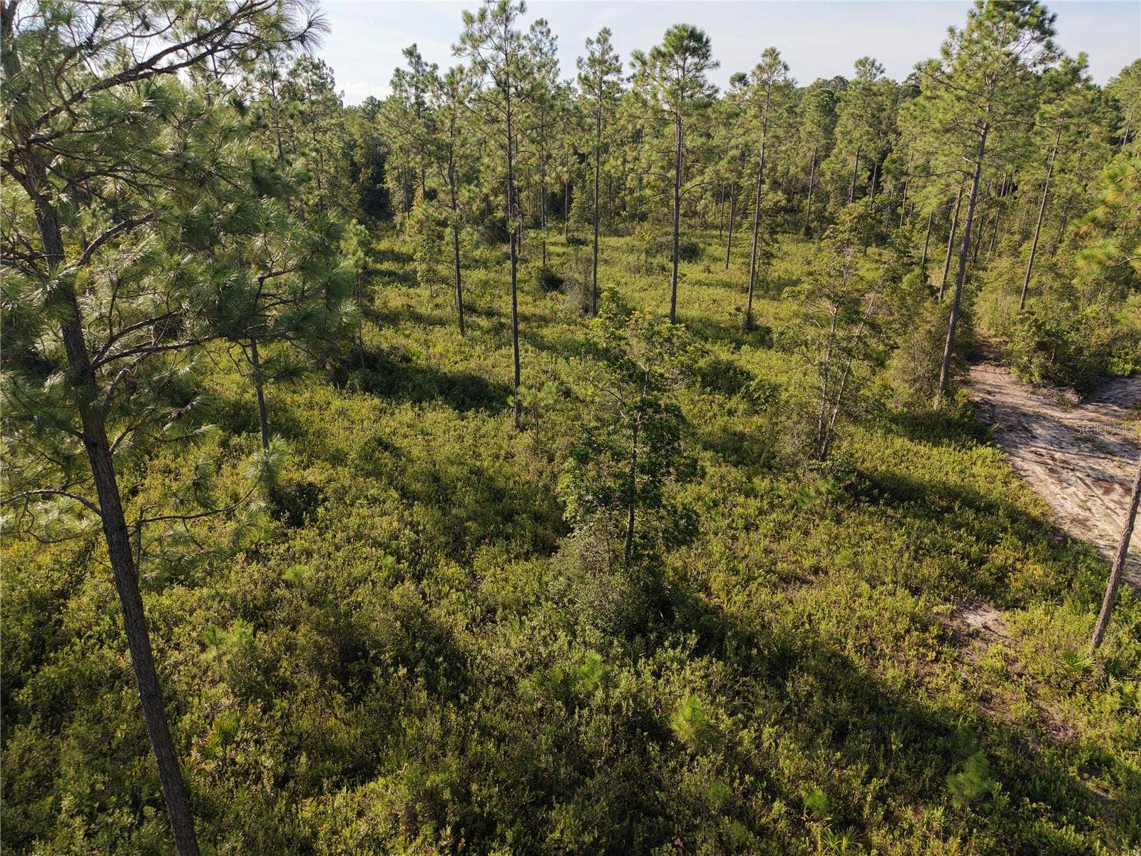 OFF NE 212TH ST., Fort Mc Coy, FL 32134