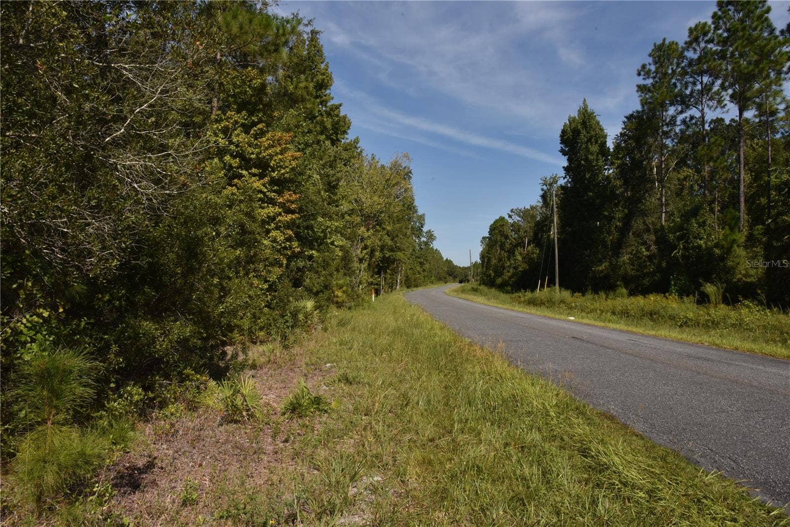 OFF NE 212TH ST., Fort Mc Coy, FL 32134