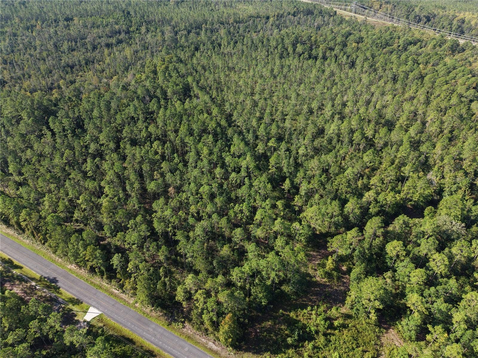 OFF NE 212TH ST., Fort Mc Coy, FL 32134