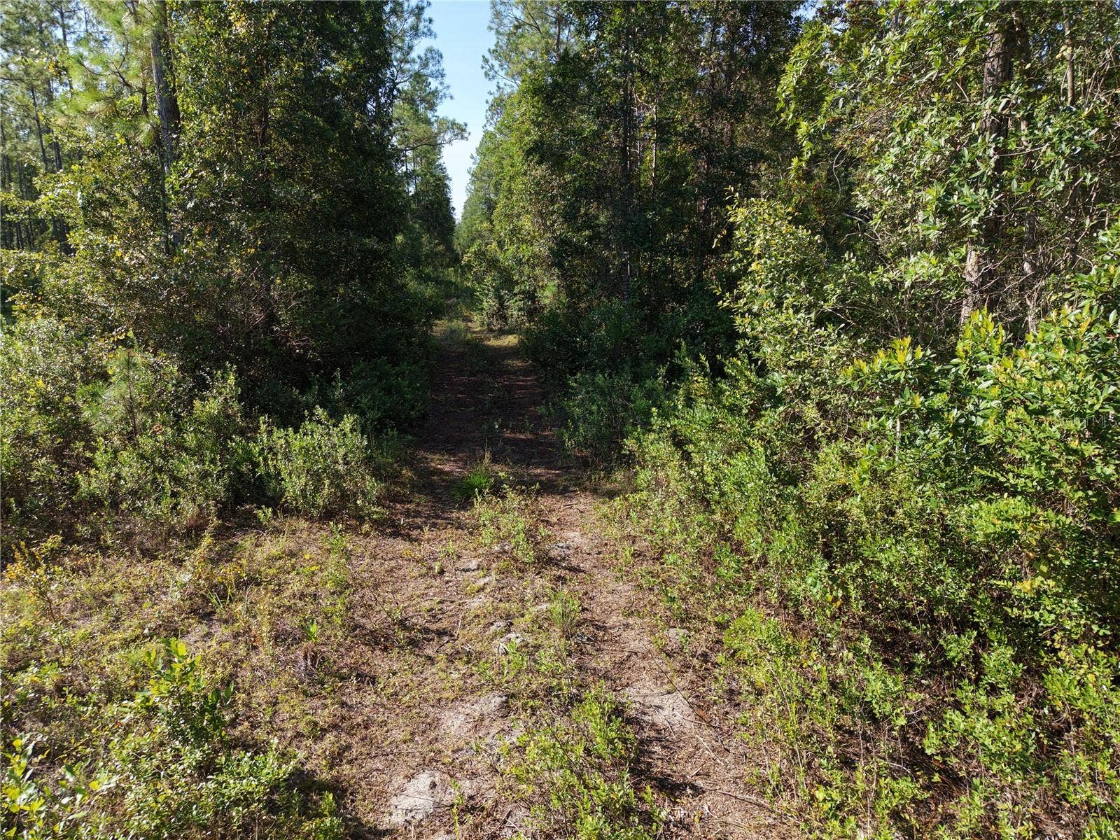 OFF NE 212TH ST., Fort Mc Coy, FL 32134