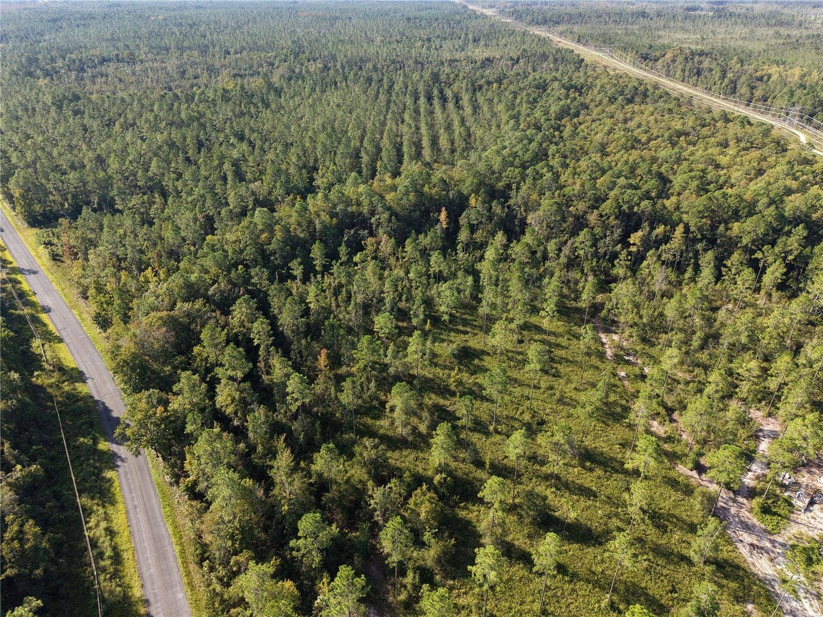OFF NE 212TH ST., Fort Mc Coy, FL 32134