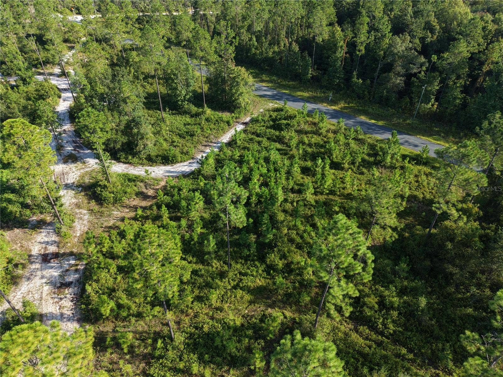 OFF NE 212TH ST., Fort Mc Coy, FL 32134