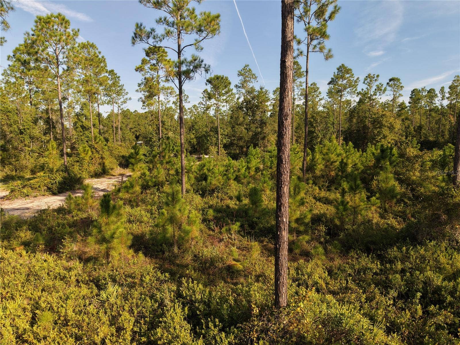 OFF NE 212TH ST., Fort Mc Coy, FL 32134