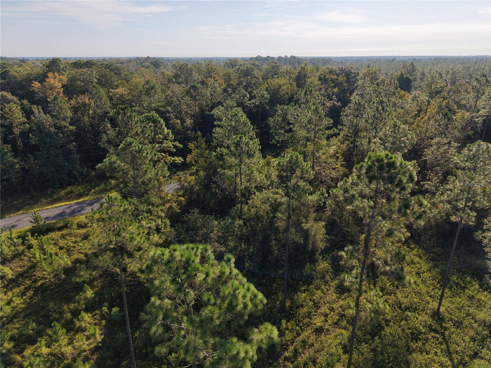 OFF NE 212TH ST., Fort Mc Coy, FL 32134