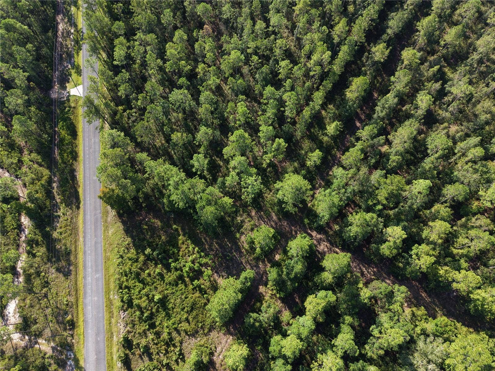 OFF NE 212TH ST., Fort Mc Coy, FL 32134