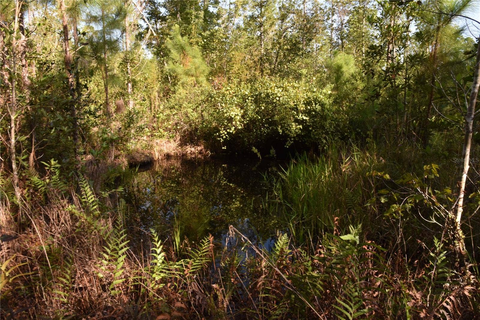 OFF NE 212TH ST., Fort Mc Coy, FL 32134