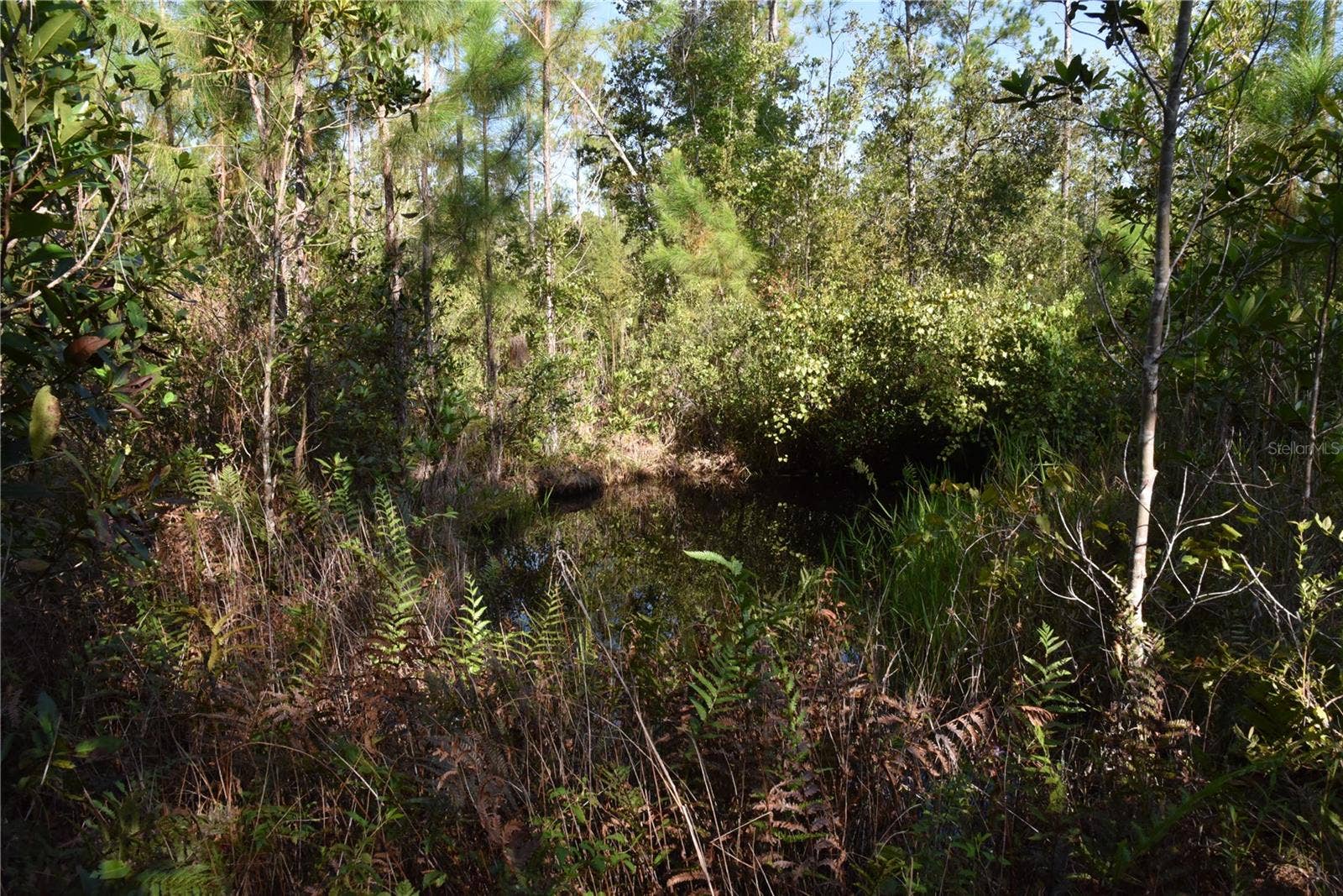 OFF NE 212TH ST., Fort Mc Coy, FL 32134