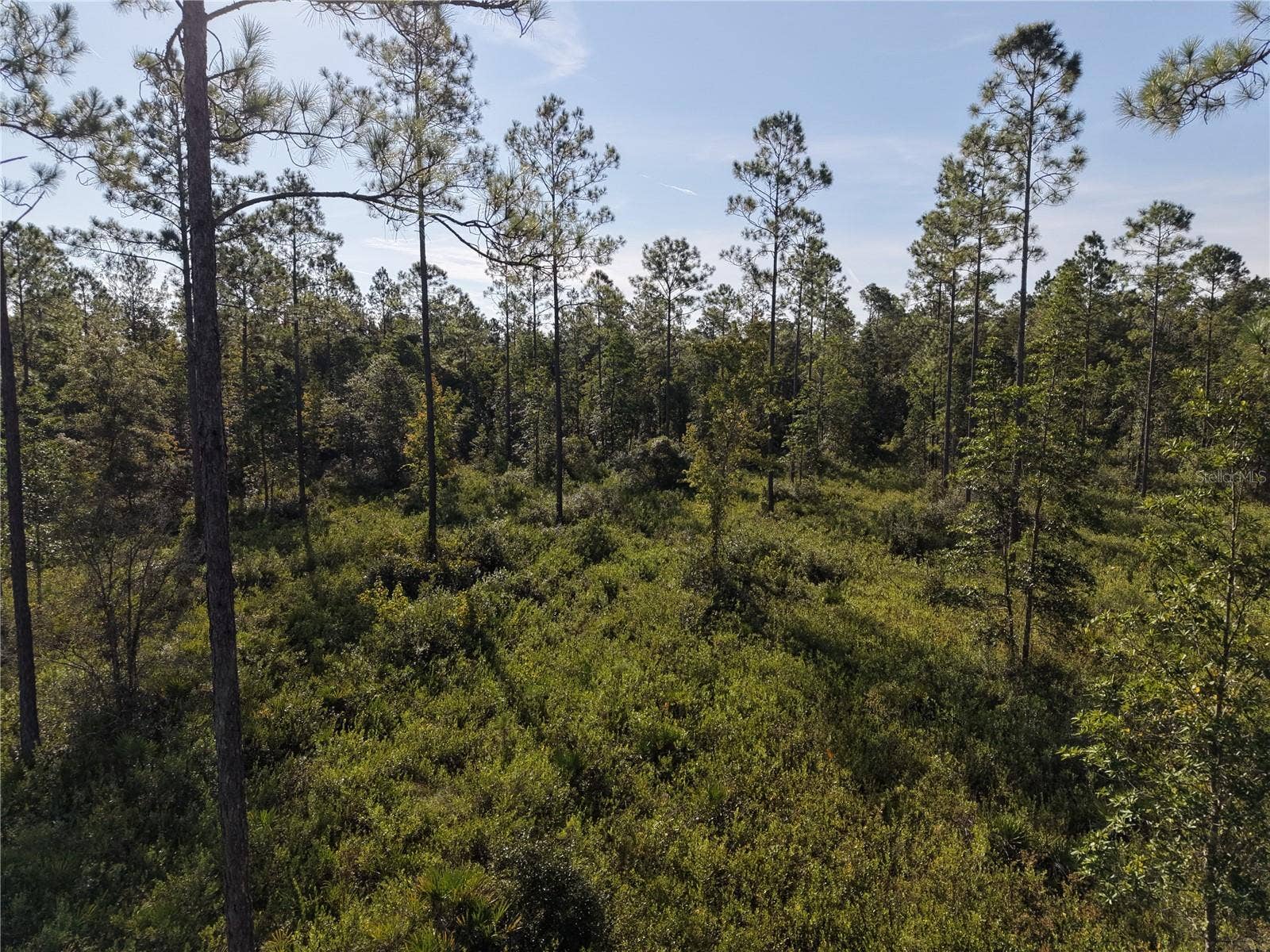 OFF NE 212TH ST., Fort Mc Coy, FL 32134