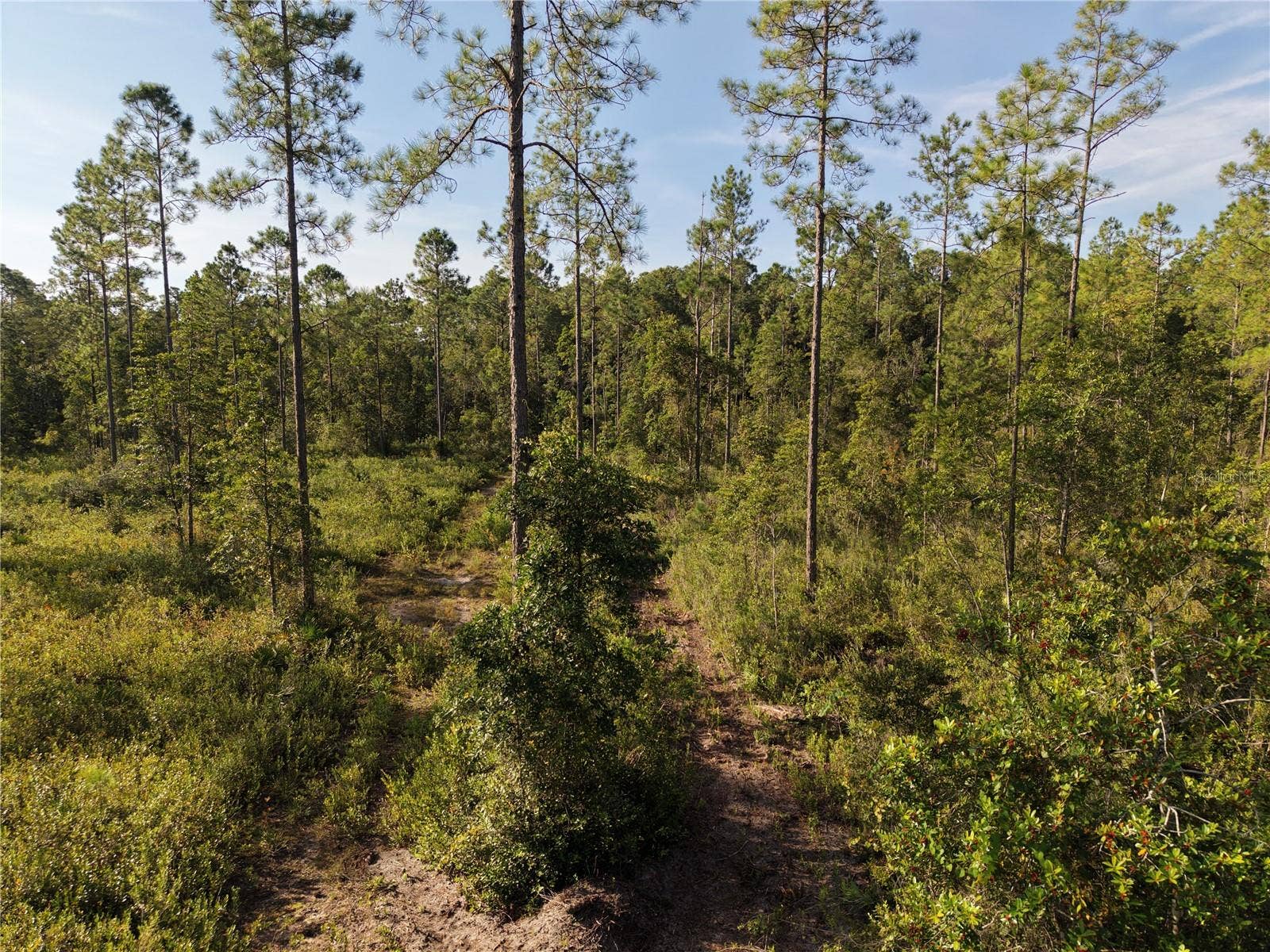 OFF NE 212TH ST., Fort Mc Coy, FL 32134
