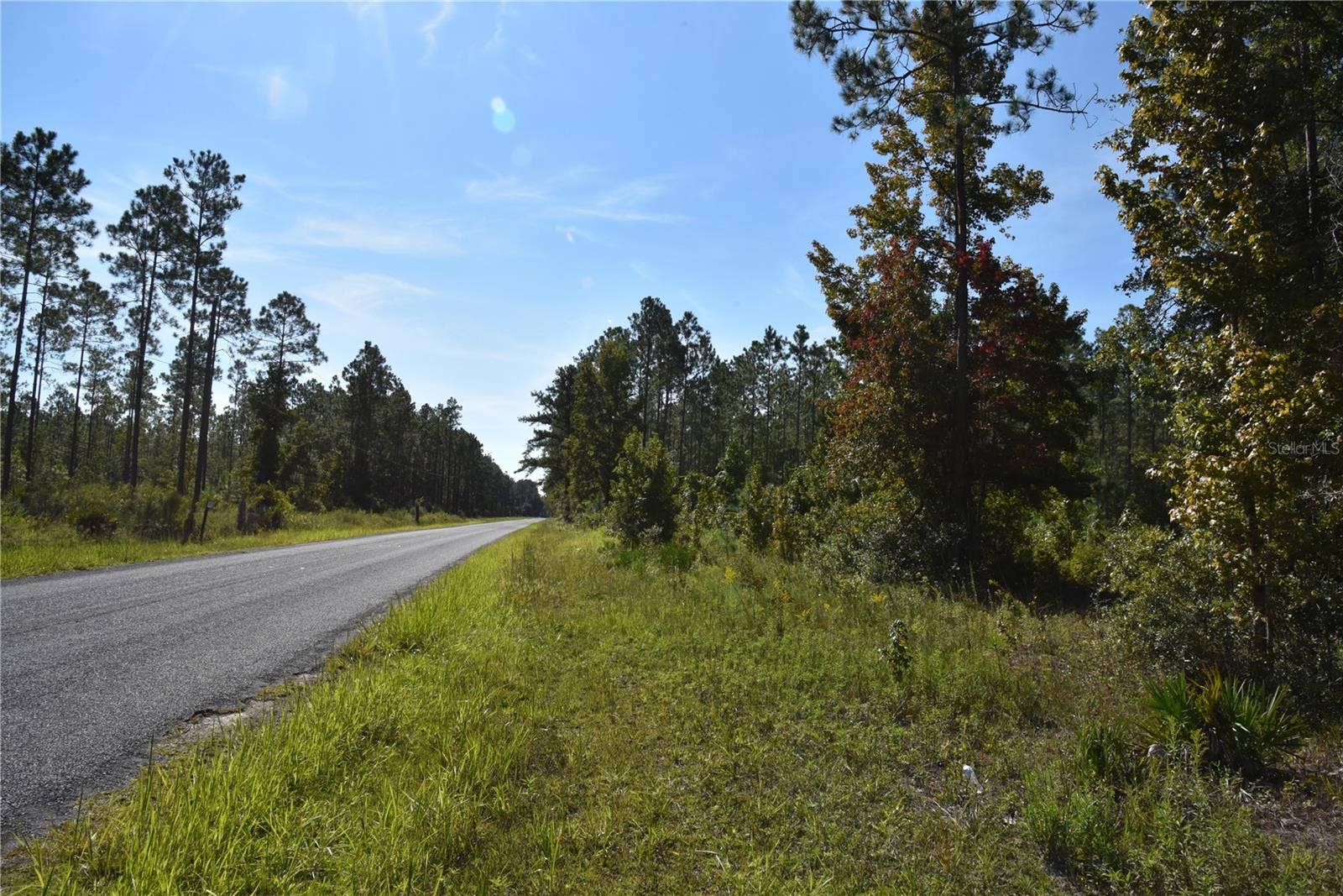 OFF NE 212TH ST., Fort Mc Coy, FL 32134