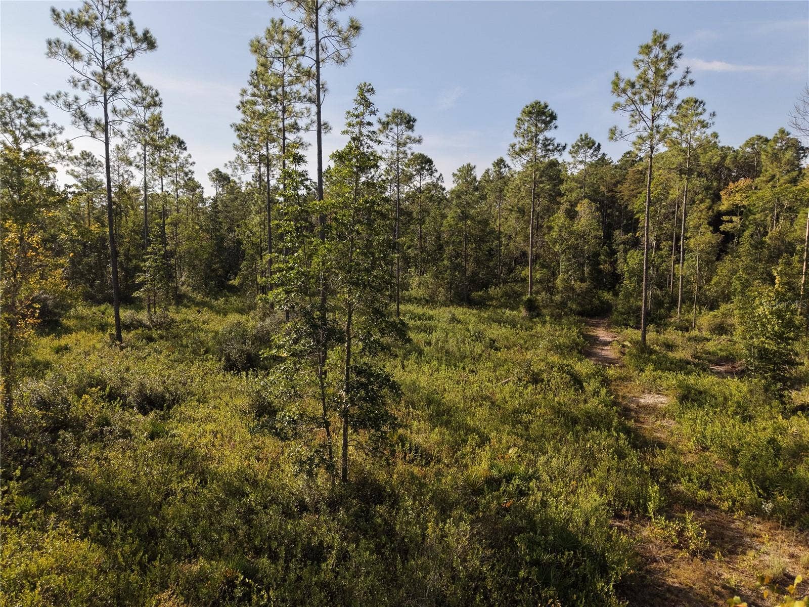 OFF NE 212TH ST., Fort Mc Coy, FL 32134