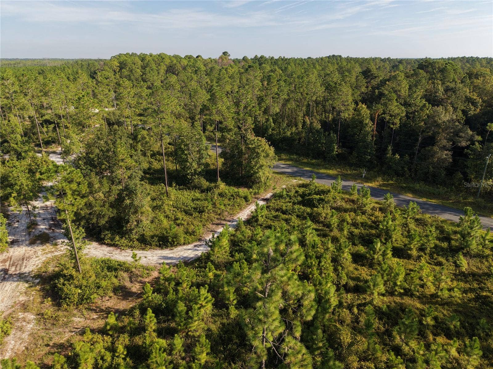 OFF NE 212TH ST., Fort Mc Coy, FL 32134