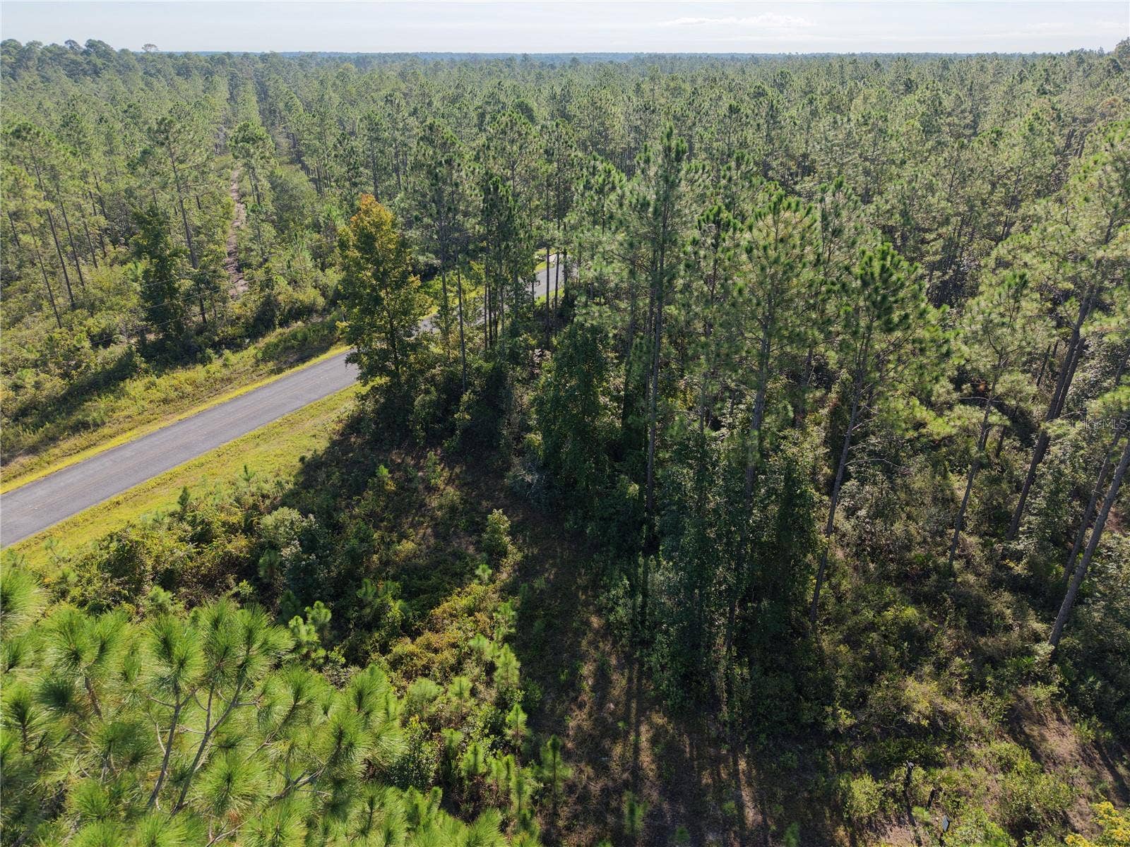OFF NE 212TH ST., Fort Mc Coy, FL 32134
