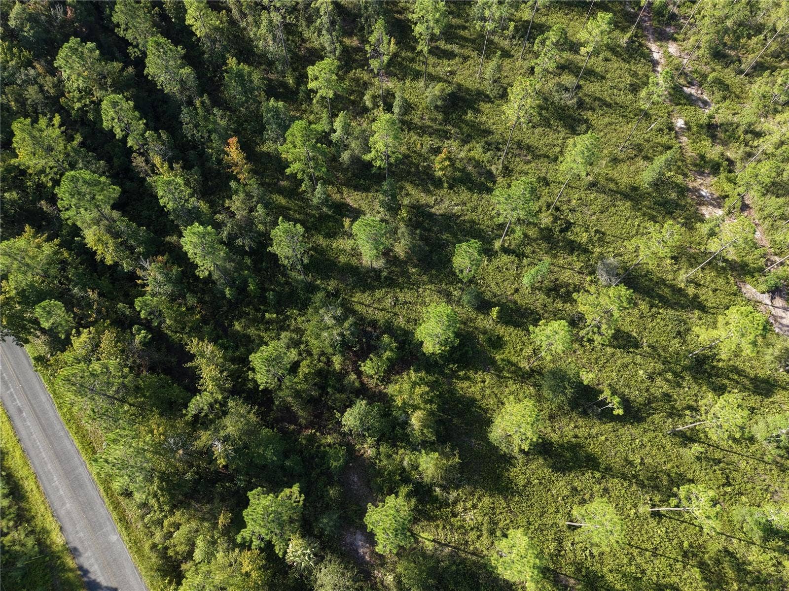 OFF NE 212TH ST., Fort Mc Coy, FL 32134