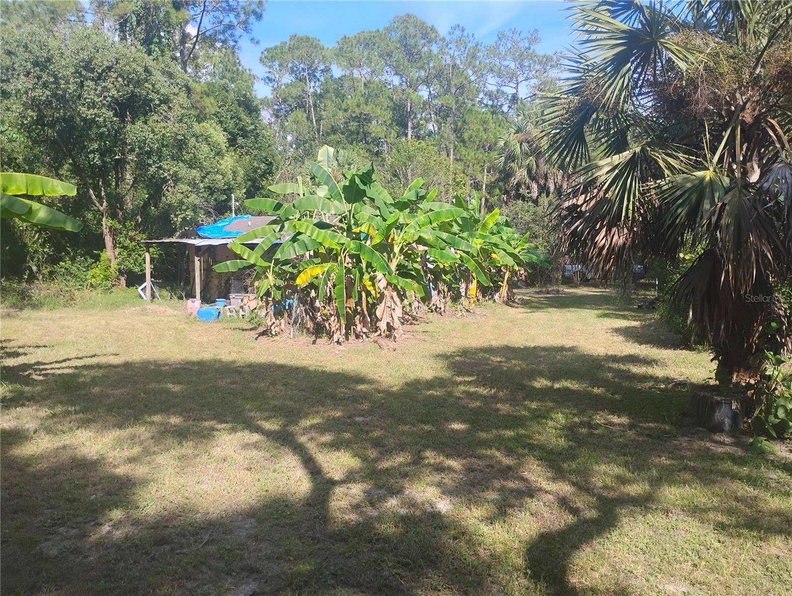43907 MARIE AVENUE, Deland, FL 32720