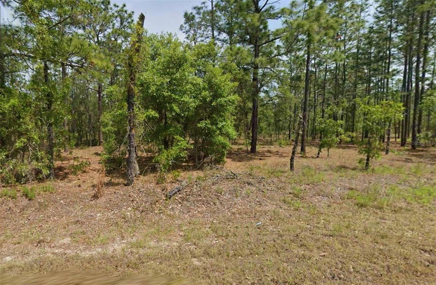 Property photo for 00 NW COLUMBINE AVENUE, Dunnellon, FL