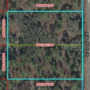 Property photo for SE 131 TERRACE, Dunnellon, FL