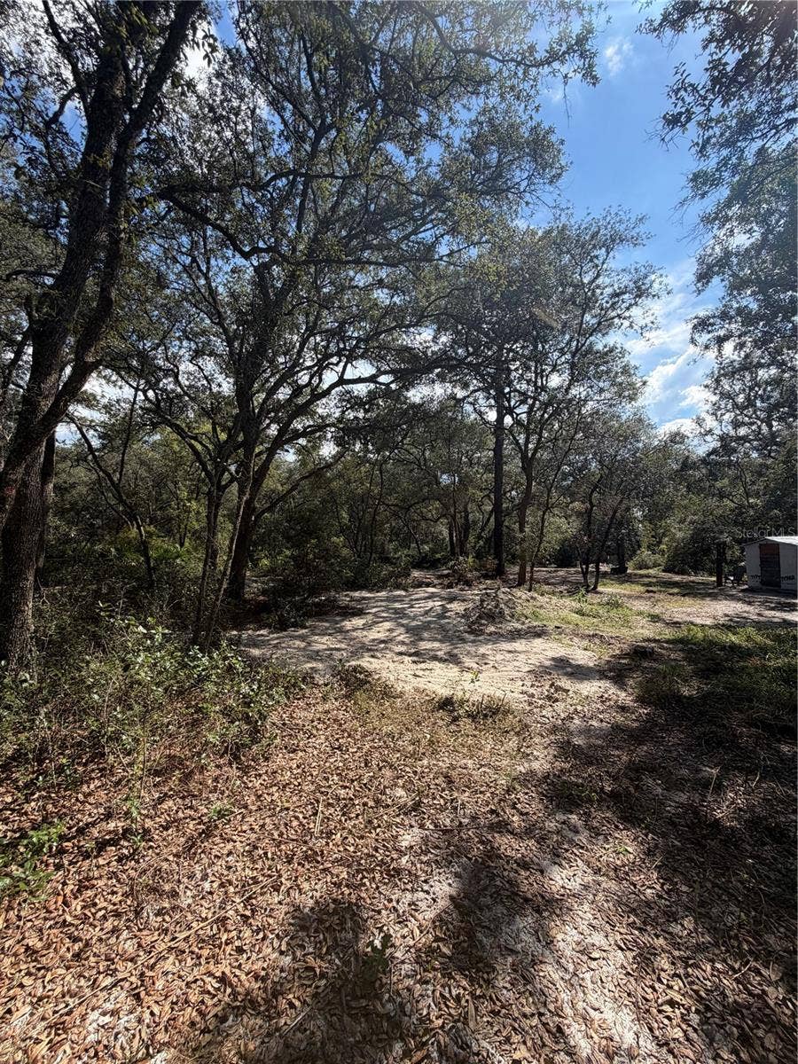 TBD NE 192ND PLACE, Fort Mc Coy, FL 32134 TBD NE 192ND PLACE, Fort Mc Coy, FL 32134