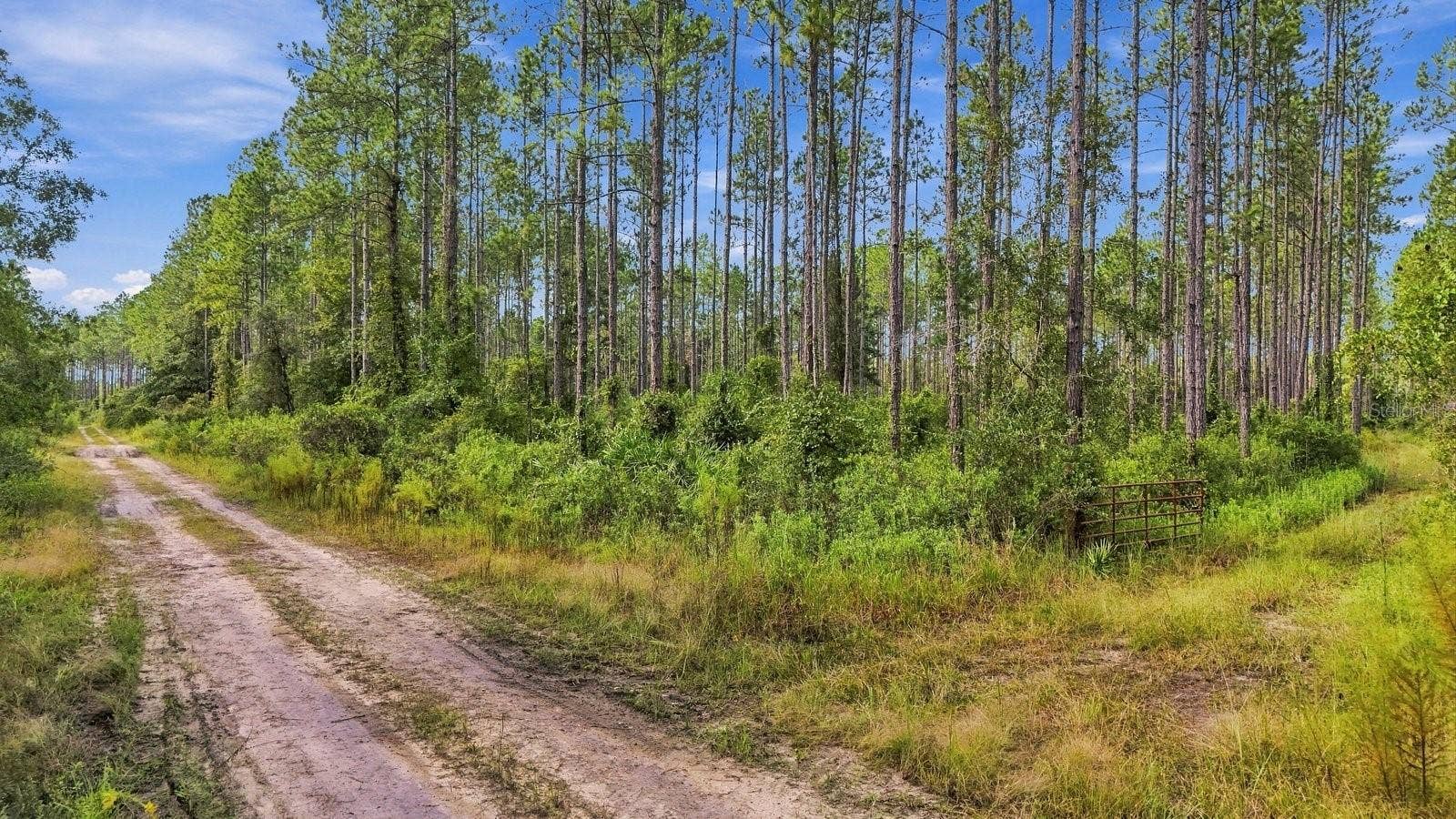 0 DOC SMITH ROAD, Bronson, FL 32621