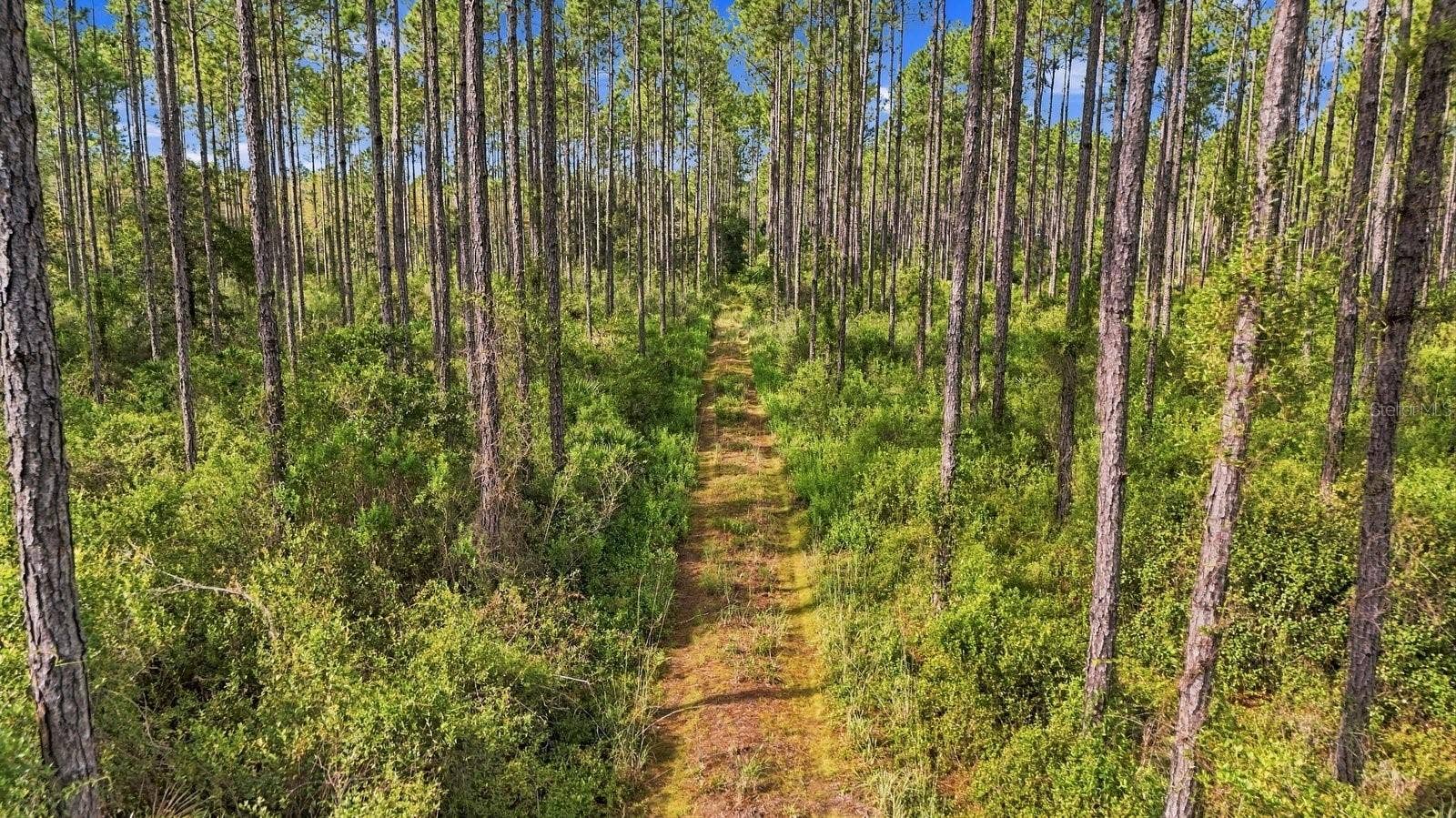 0 DOC SMITH ROAD, Bronson, FL 32621