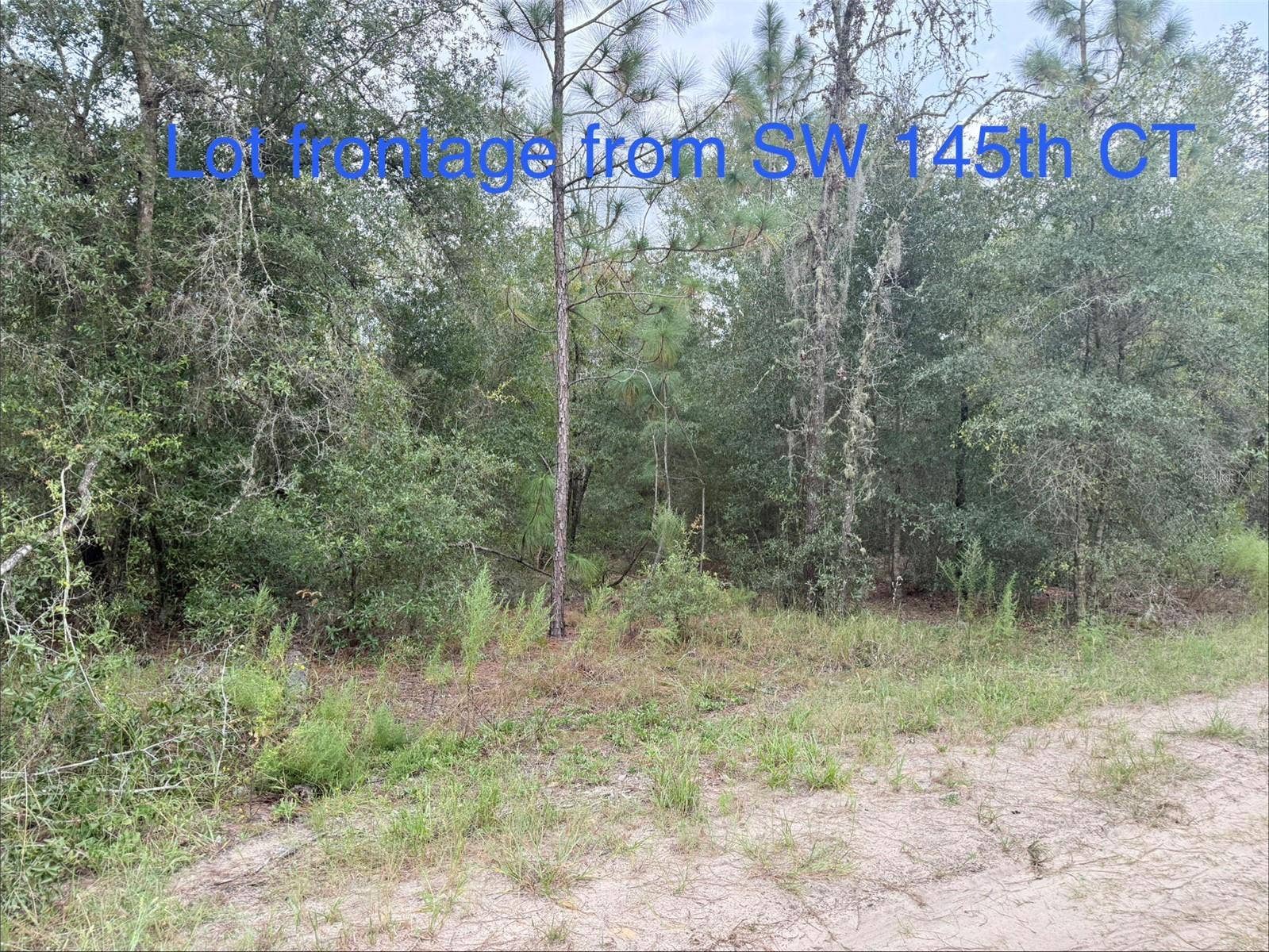 SW 146TH AVENUE ROAD, #Lots 12-14, Ocala, FL 34481 SW 146TH AVENUE ROAD, #Lots 12-14, Ocala, FL 34481