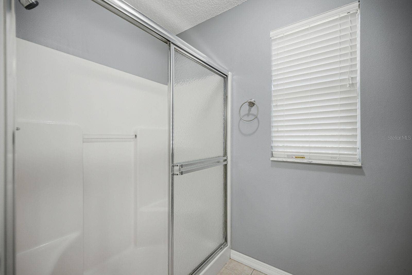 705 MURRAY LANE, Lady Lake, FL 32159 Walk in Shower